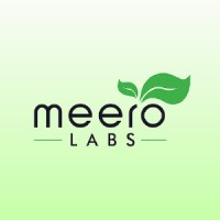 Meero Digital Labs Private Limited logo - Similar company to Cyber Tech Solution