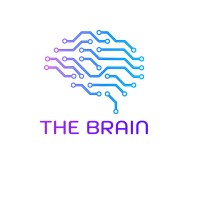 The Brain PSA logo - Similar company to Institute Of Health And Democracy