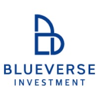 Blueverse Investment Inc. logo - Similar company to Hyperion Vietnam