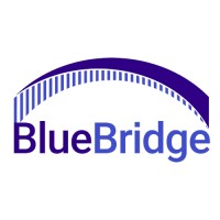 BlueBridge Networks logo - Similar company to Blubridge