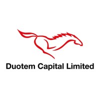 Duotem Capital Limited logo - Similar company to Caner Aras Studio