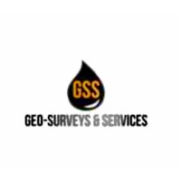 GEOSURVEYS & SERVICES logo - Similar company to Geosurveys