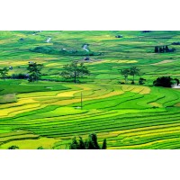 Agriculture Vietnam logo - Similar company to The Seven Elements