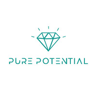 Pure Potential • Coaching de Leaders & Dirigeants logo - Similar company to Puuulse