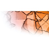 Everard Advisory logo - Similar company to Moda Critical Review