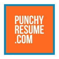 PunchyResume logo - Similar company to Resume Jet
