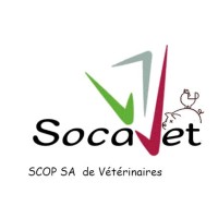 SOCAVET logo - Similar company to Ducellier