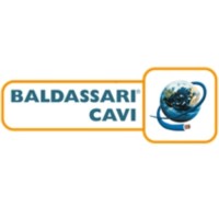 BRUNO BALDASSARI & F. lli S.p.A. logo - Similar company to Cacini & C. S.P.A