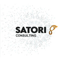 Satori Latam Consulting logo - Similar company to Delot_Co