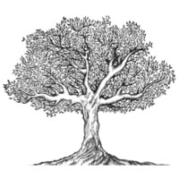 Hideout Group