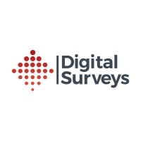Digital Surveys logo - Similar company to Gosoft