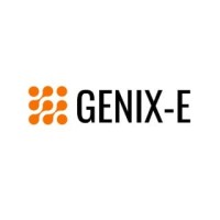 Genix Entertainment logo - Similar company to Pixxcel
