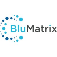 BluMatrix logo - Similar company to Blumatrix Pro Av Integrators