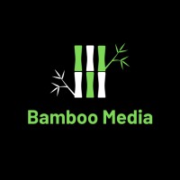 Bamboo Media logo - Similar company to Bamboo  Media Solutions