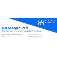 Elektro H. Hauri AG logo - Similar company to Eberle Engineering Ag