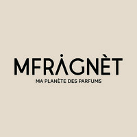Mfragnet Group Limited logo - Similar company to Buzfi.Com