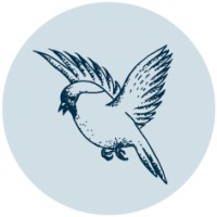 Bulfinch Coffee Roasters logo - Similar company to Proof Coffee Roasters
