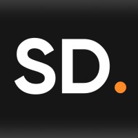 Sergey Designer Pro logo - Similar company to Flotte Info