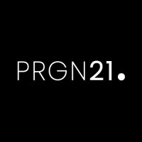Paragon Studios 21 logo - Similar company to Prodnostic