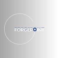 Forge Point logo - Similar company to Forgepoint Inc