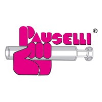 PAUSELLI S.R.L. logo - Similar company to Re.Sol®