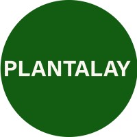 Plantalay logo - Similar company to Heysa