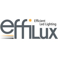 EFFILUX GmbH logo - Similar company to Effilux