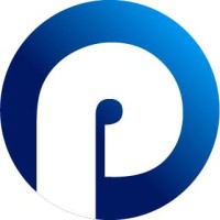 PulseNative logo - Similar company to Perftech, Inc.