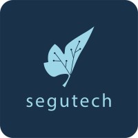 Segutech TI logo - Similar company to Segutec
