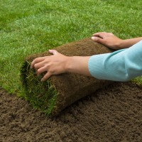 Jardinage au Maroc logo - Similar company to Pluriservices
