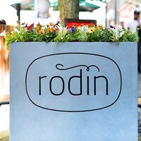 Rodin Rotterdam logo - Similar company to Iear' | Ultimate Sound And Vision