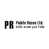 Pointe Russe Ltd logo - Similar company to Corapel