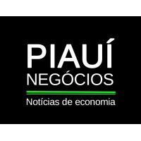 Piauí Negócios logo - Similar company to Ajepi