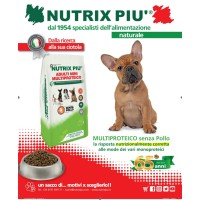 NUTRIX PIU  S.R.L. logo - Similar company to Linea101
