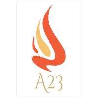 A23 Infra Services logo - Similar company to Digiavtar