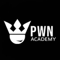 PwnAcademy logo - Similar company to Finbase Consultancy