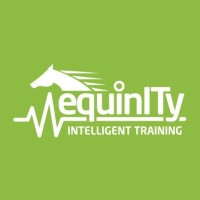 Equinity Technology Limited logo - Similar company to Equinity