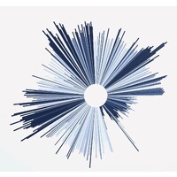 Sapphire Blue Sky Ventures logo - Similar company to 4Front Partners