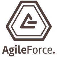Agile Force | Less is more logo - Similar company to Tastego