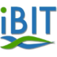 iBIT Integrated Business IT Consultants LLC