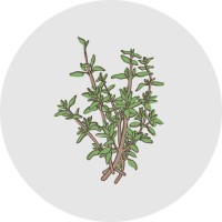 Morphry Thyme logo - Similar company to Accounting Advice