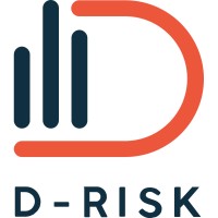 D-Risk Technology logo - Similar company to Devslate Group