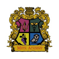 Meta Academy logo - Similar company to Indian Diamond And Colorstone Association