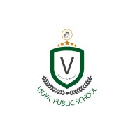 Vidya Public School official logo - Similar company to Krishnappa B Badiger