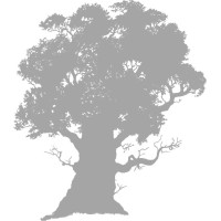 Tiedemann Independent A/S logo - Similar company to Thygesen Capital