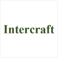 Intercraft Trading logo - Similar company to Xangar