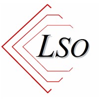 Transports LSO logo - Similar company to Ce Safran Labinal Services Power Systems