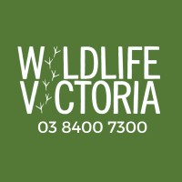 Wildlife Victoria logo - Similar company to Resilient Workforce