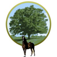 Saddle Oak Software logo - Similar company to Receipt Branch