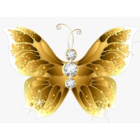 Kindness Community logo - Similar company to Plus 8 Digital